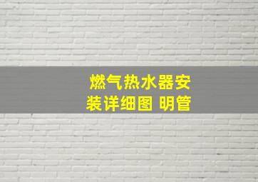 燃气热水器安装详细图 明管